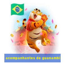 acompanhantes de guanambi